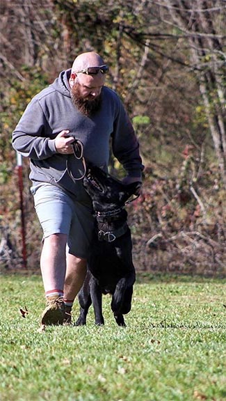 k9 dog training in nasvhille tn